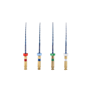 Dota endo S One 04 Cone